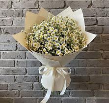 Букет цветов из:  Ромашки #REPLACE_PRED# Самарском